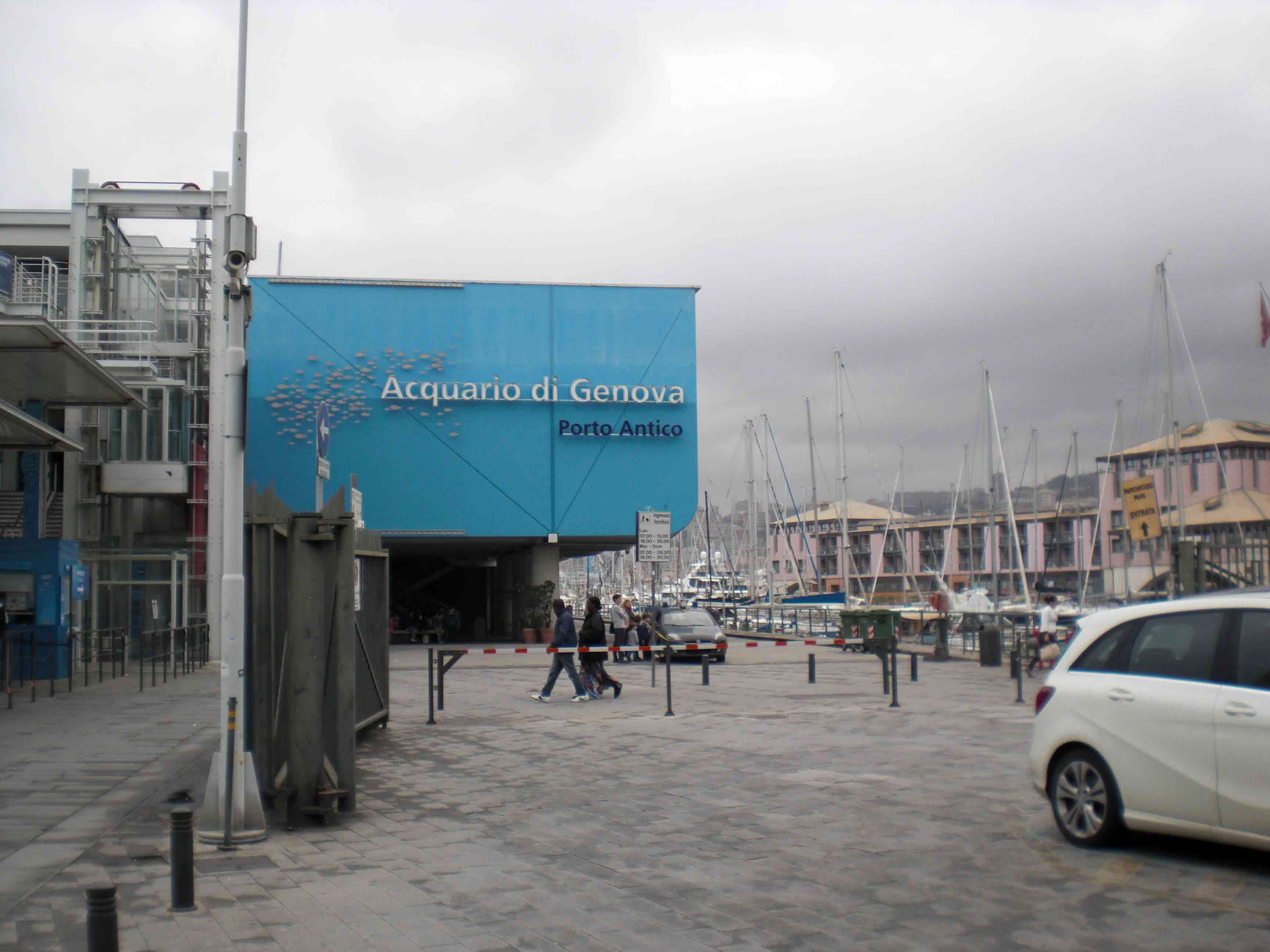 acquario1--web